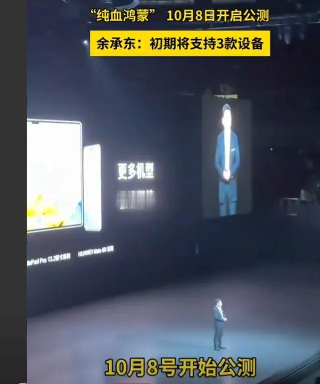 余承东宣布纯血鸿蒙系统将在10月8号公测后，很多网友都认为华为选择10月8号这个