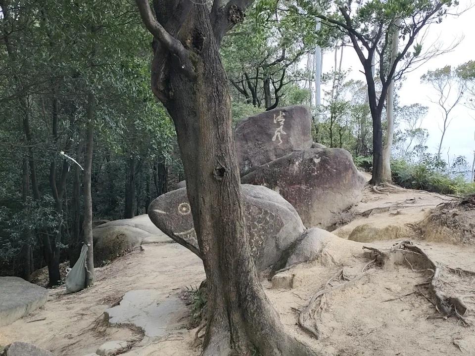 发现一只蛤蟆石