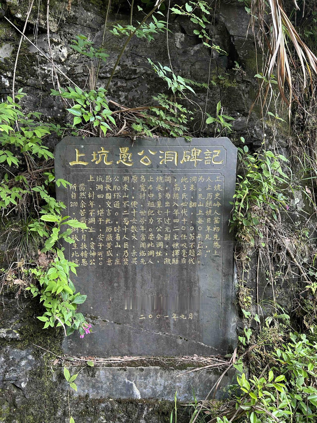 黄山脚下一个普普通通的小山村，感叹人类的勇气与拼搏。