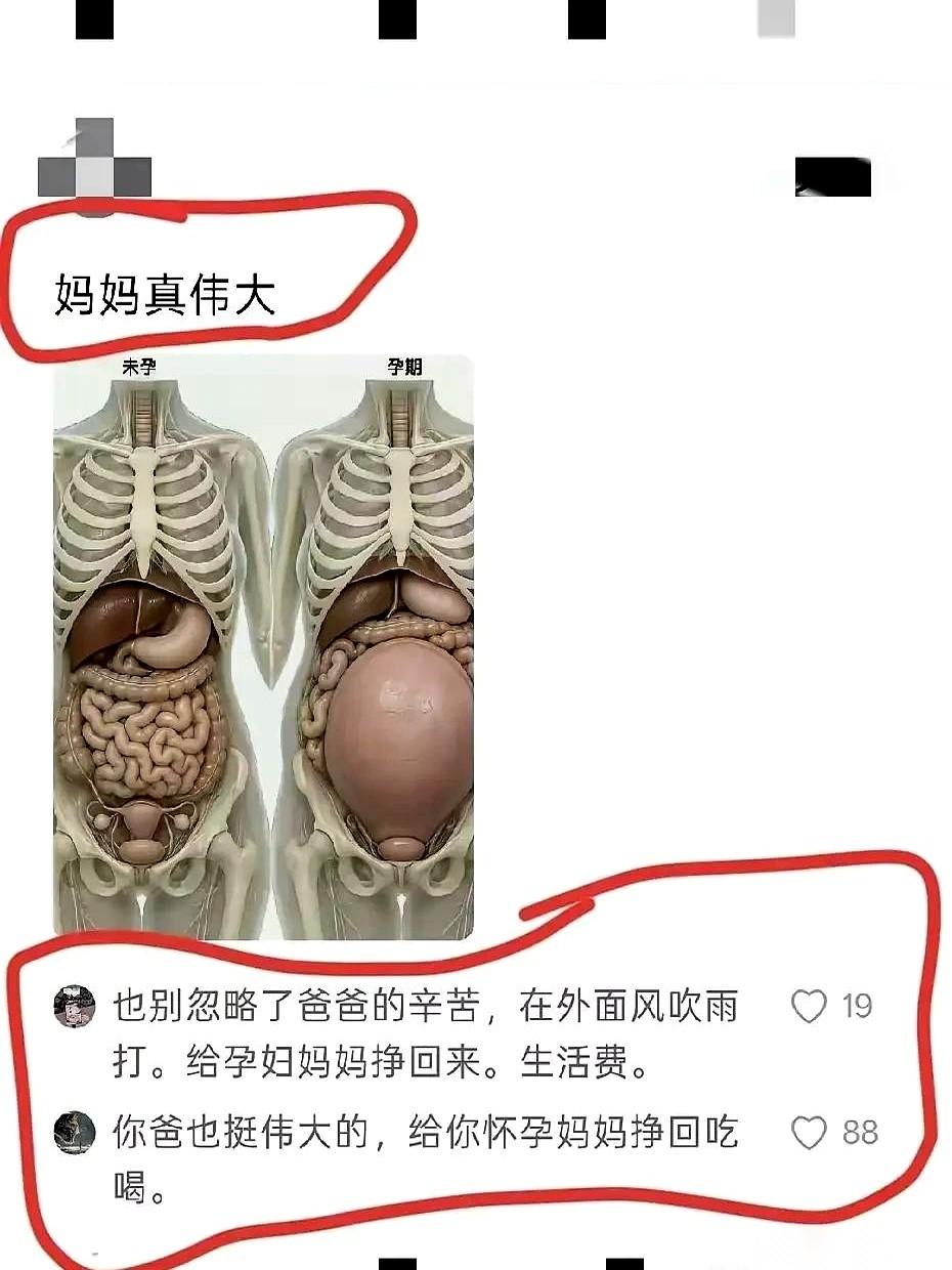 “不是每个妈妈在孕期都有老公养。”
我随手在网上敲下的这句大实话，不到半小时，就