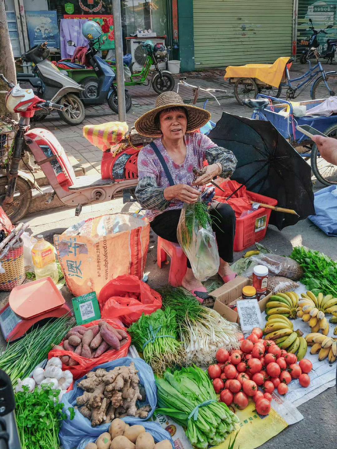 跟着时令走的菜篮子最懂鲜菜当然是新鲜的，吃起来口感它就不一样，预制菜是不能相比的