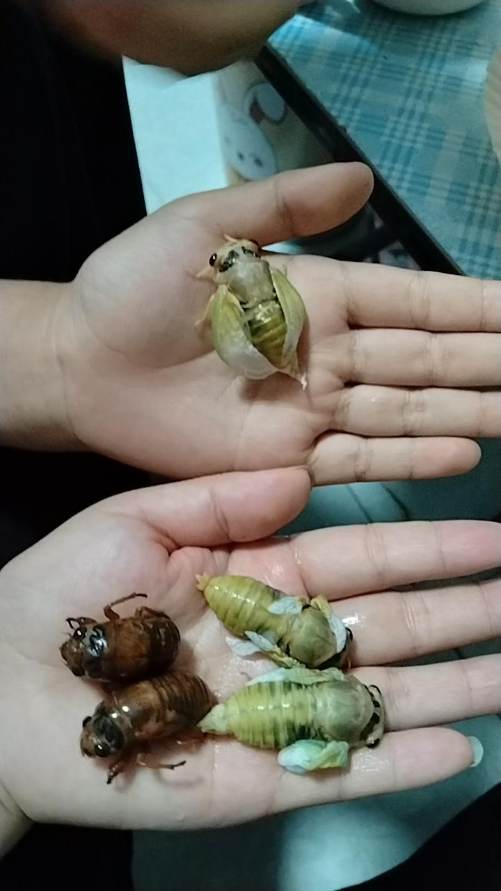 开始摸爬爬了！