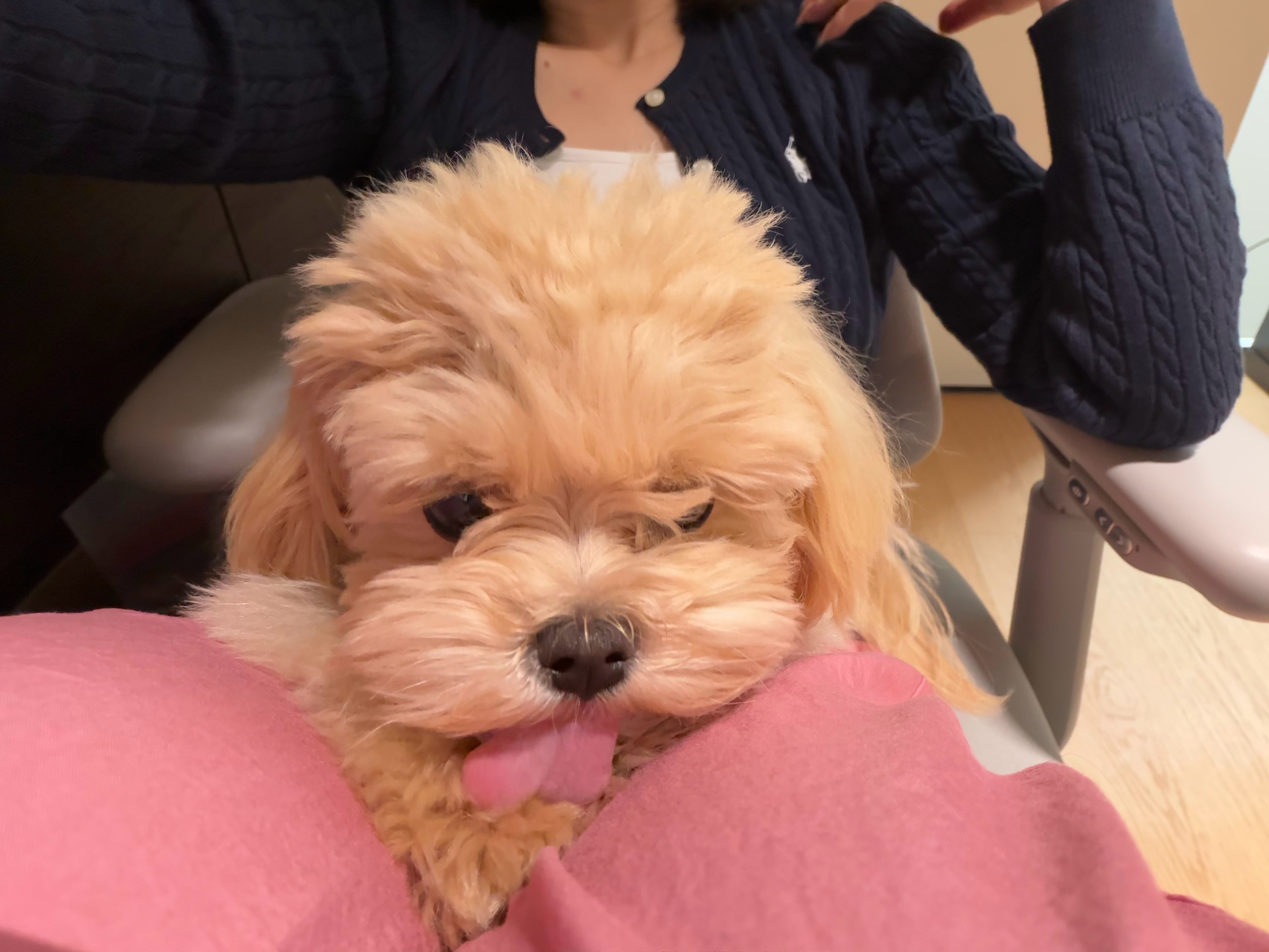 我工作路上最大的阻力！！ 