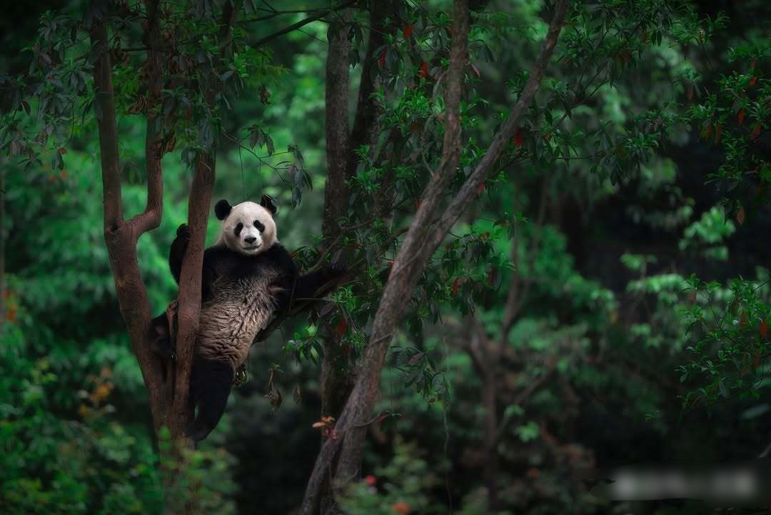 早上好，起来数钱了！ ​​​