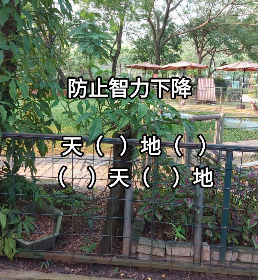 防止你刷手机刷得脑子“生锈”，来考考你：天（）地（）、（）天（）地，你能想出几个
