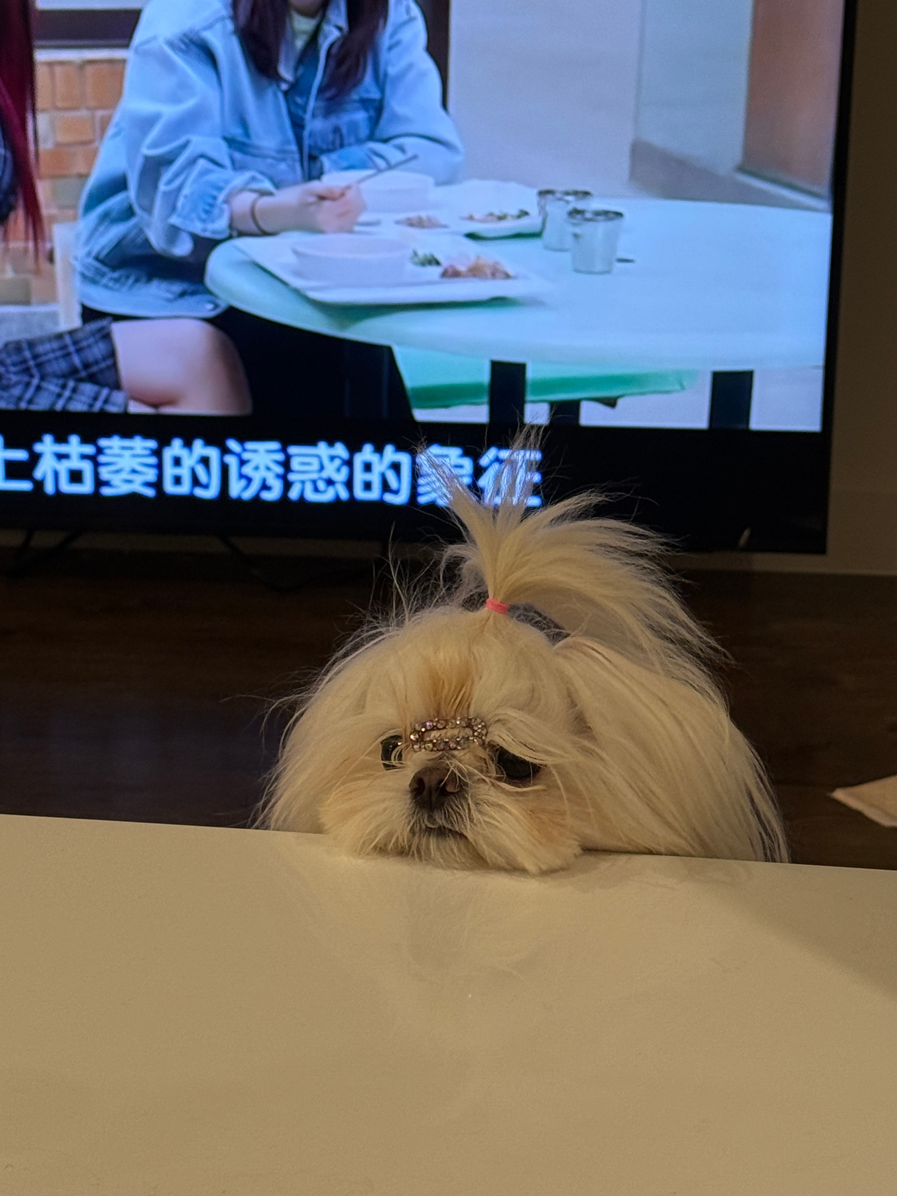 蒜了蒜了 ​​​