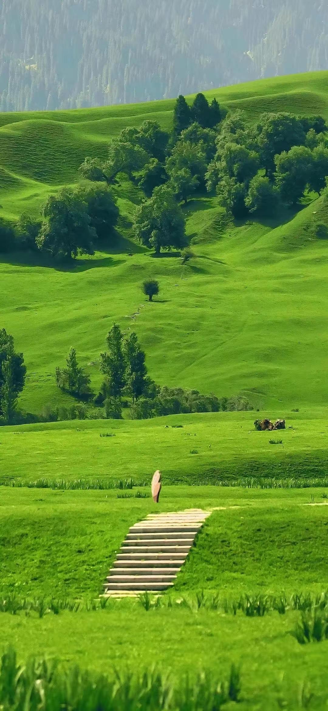 现实的话：

“性欲是人的生命力，其实很多人都不知道性欲是成年人最顶级的生命力。