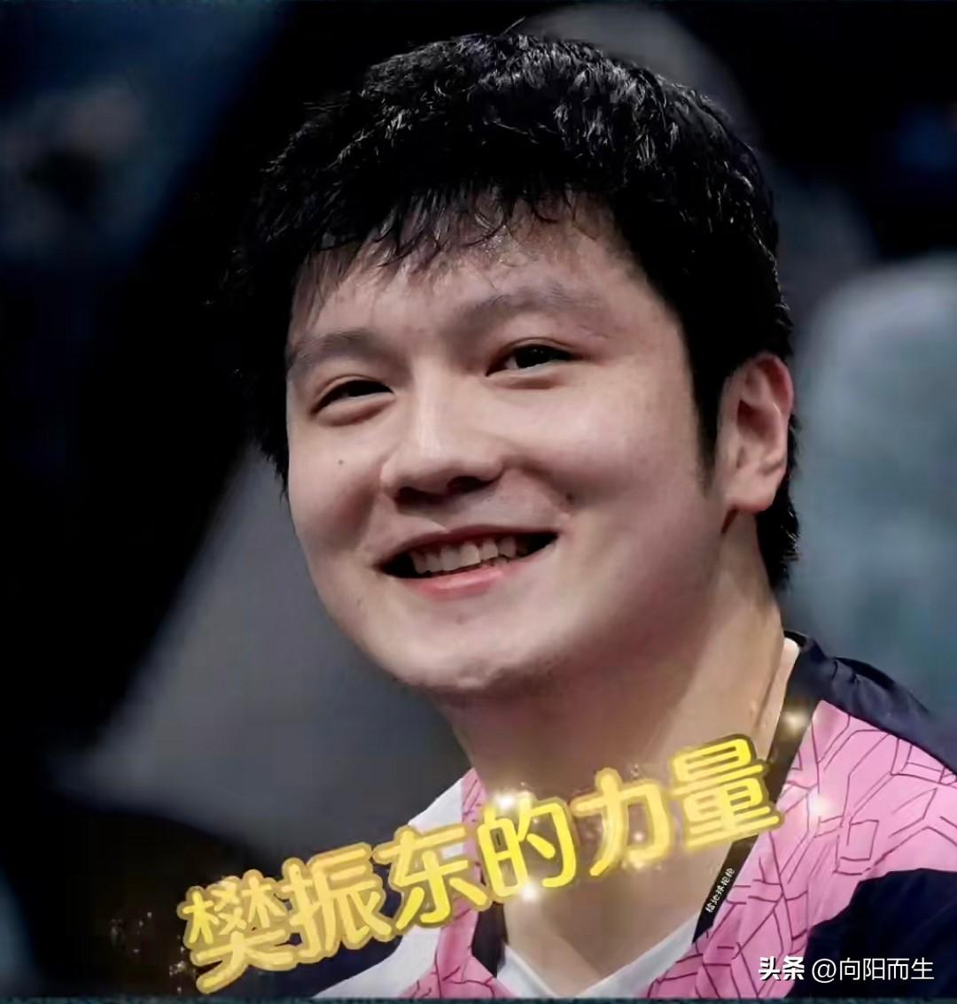 说起樊振东，
我心里不由得生出不少感慨！

从小到大，
各大荣誉全部拿到手，
在