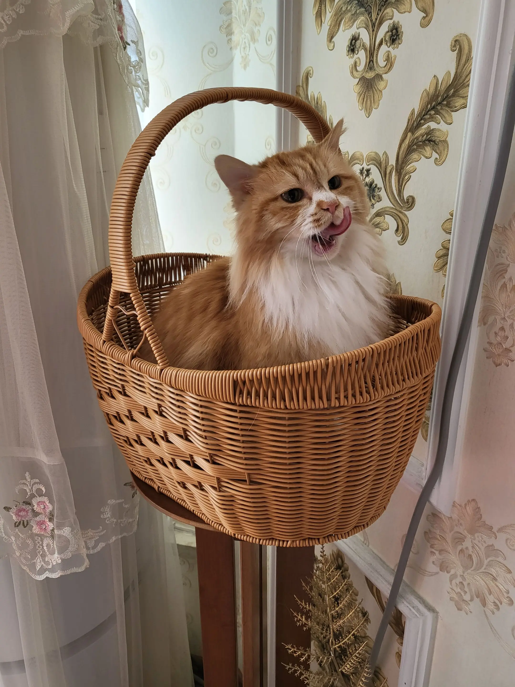 暖宝宝康复，活蹦乱跳的，麻麻也开心了 谢谢大家的关心，爱你们