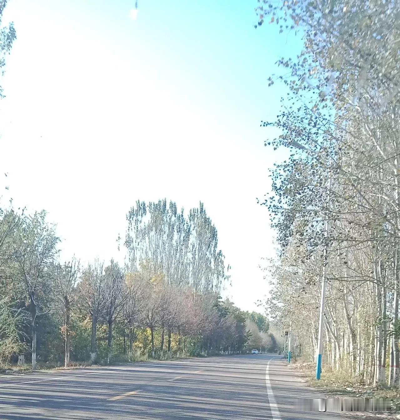 穿越新疆北部的旅程——从伊犁到乌鲁木齐一路的风景

一路风景，一路风情，从伊犁到