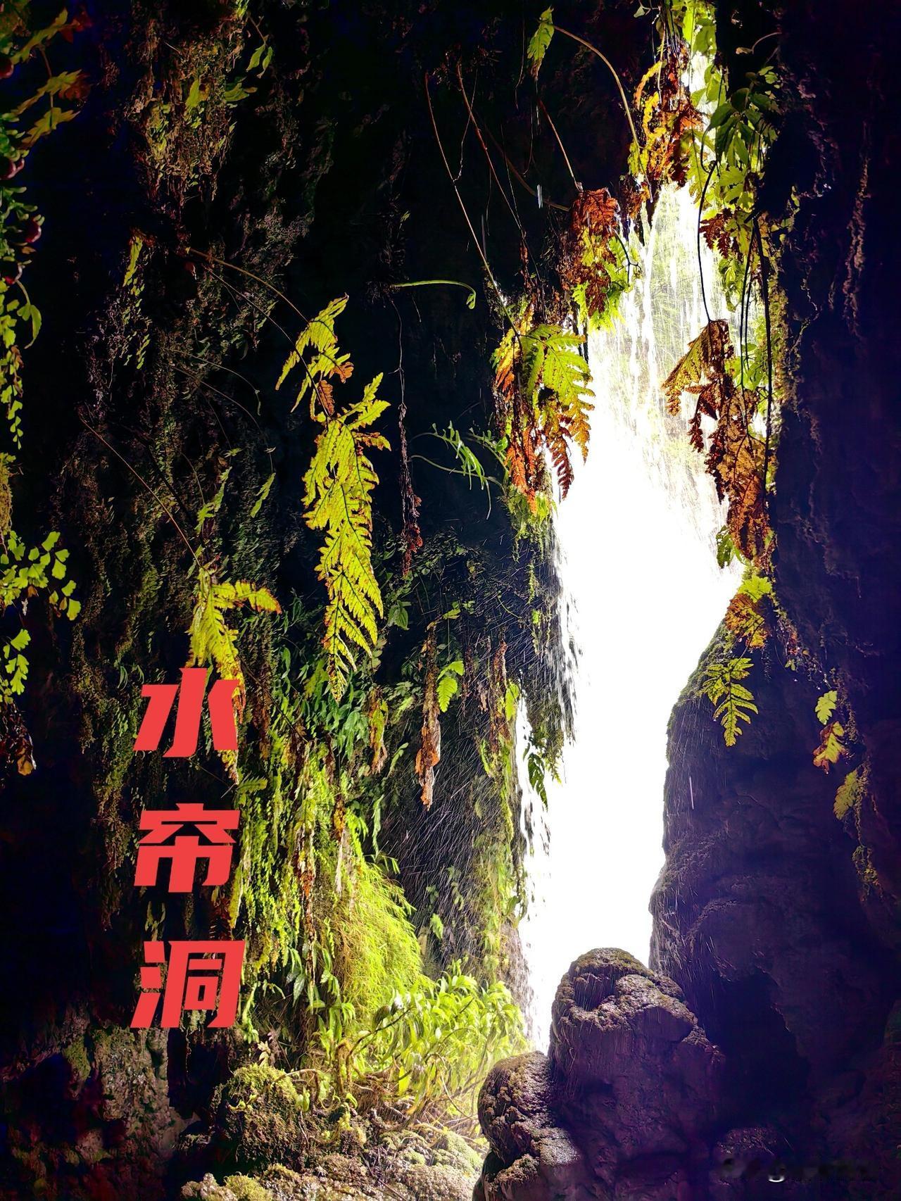 人的一生，
永远不能停止成长的脚步。
学习知识丰富自己内涵，
学习技能增添自己自