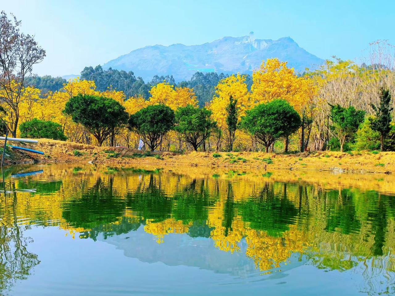 甘肃省兰州市海石湾……