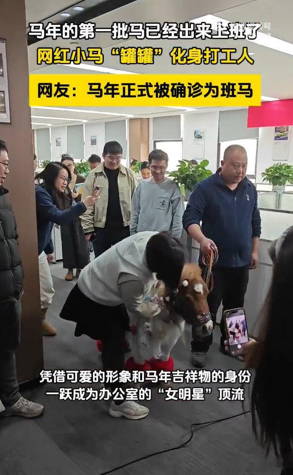 马年的第一批马已经出来上班了打工人的马年人设 马年第一批“马员工”已到岗，主打一