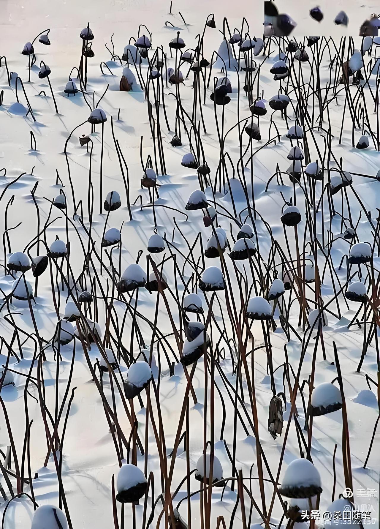 退休后，我终于有了闲暇时间。不再装了，活出自己的样子，那才叫够劲。

年轻时，总