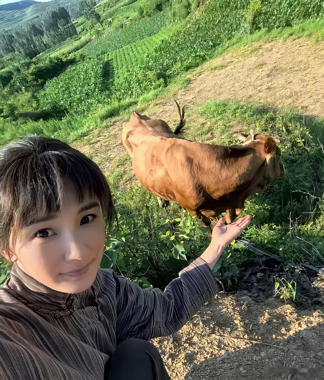 杨幂啊杨幂你真是哪哪都好就是有一个特别大的缺点，那就是脸长得太现代化了​那些都市