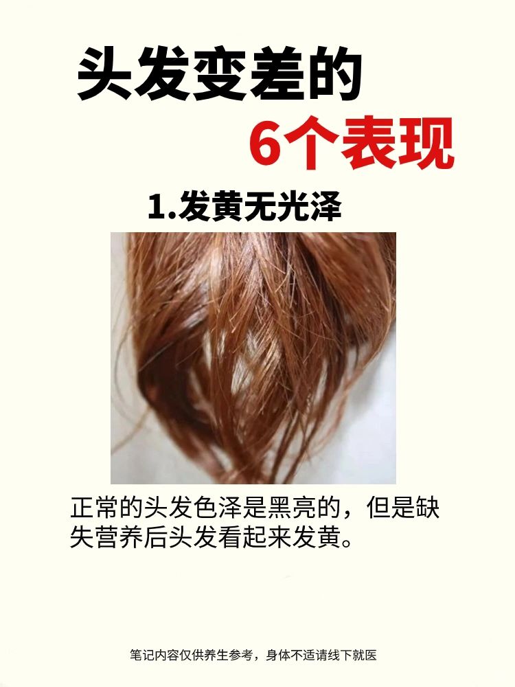 头发干枯毛躁，易断裂掉发怎么办？