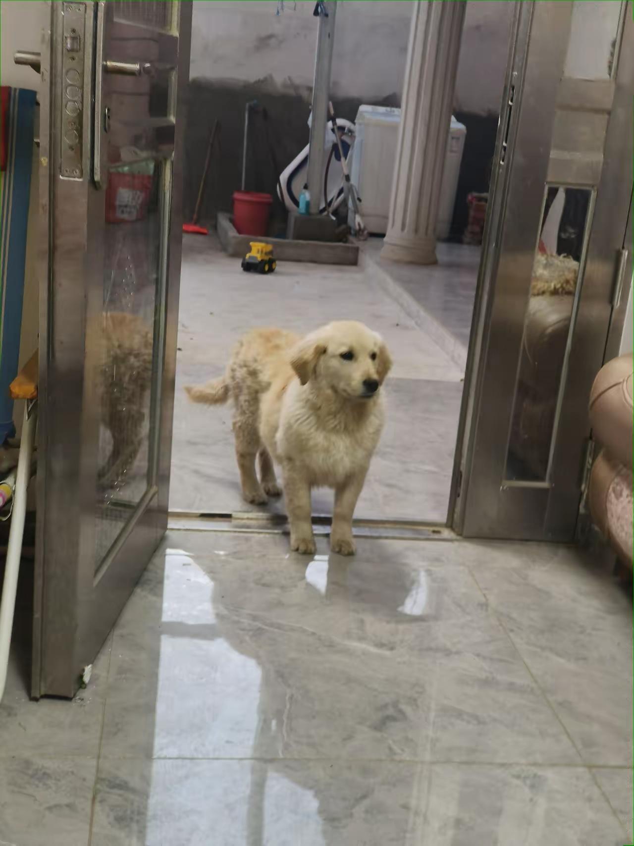 最近在地铁上看到一群“油条大军”，几个老人组团，每人拖着上百根油条回家。我实在好