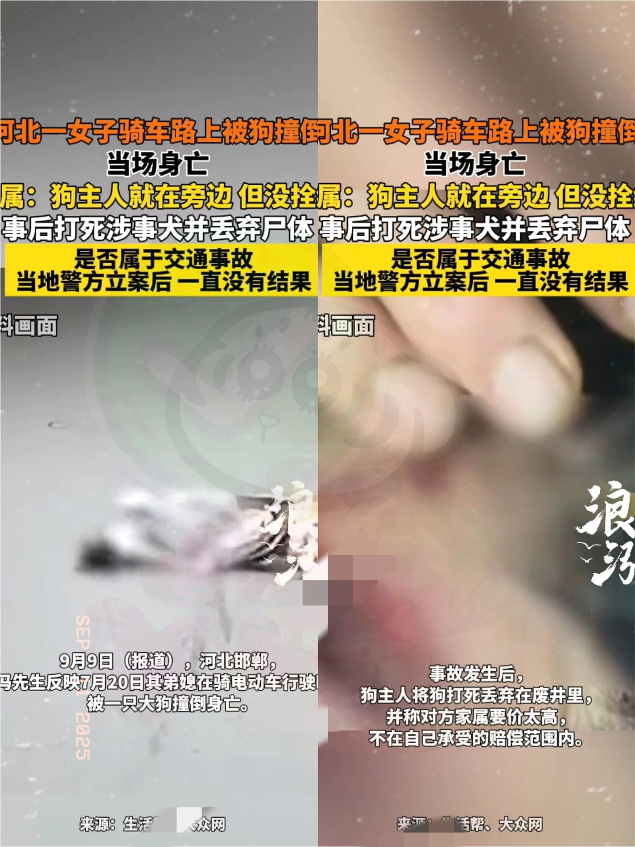太气人了！女子骑电动车好好的，竟被没拴绳的大狗撞倒当场没了，这事儿想想都揪心！