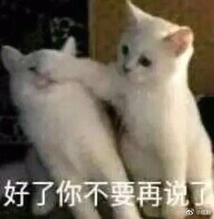 布达拉宫的建造者至今都蒙在鼓里好地狱啊 