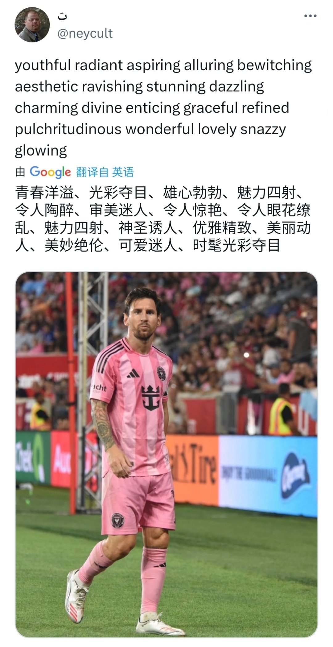 梅东略施手段 美度晕头转向 ​​​