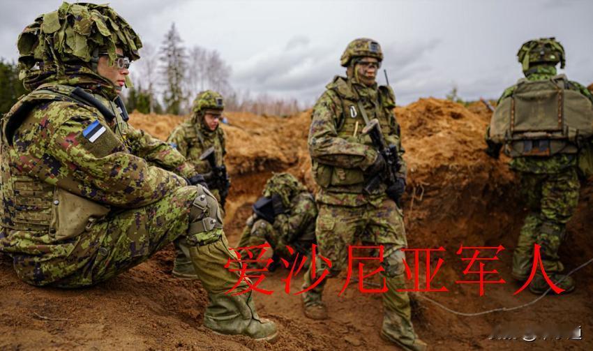 ### 愚人节提前了？爱沙尼亚称能在几天或几周内击退俄罗斯 ###——因有北约加