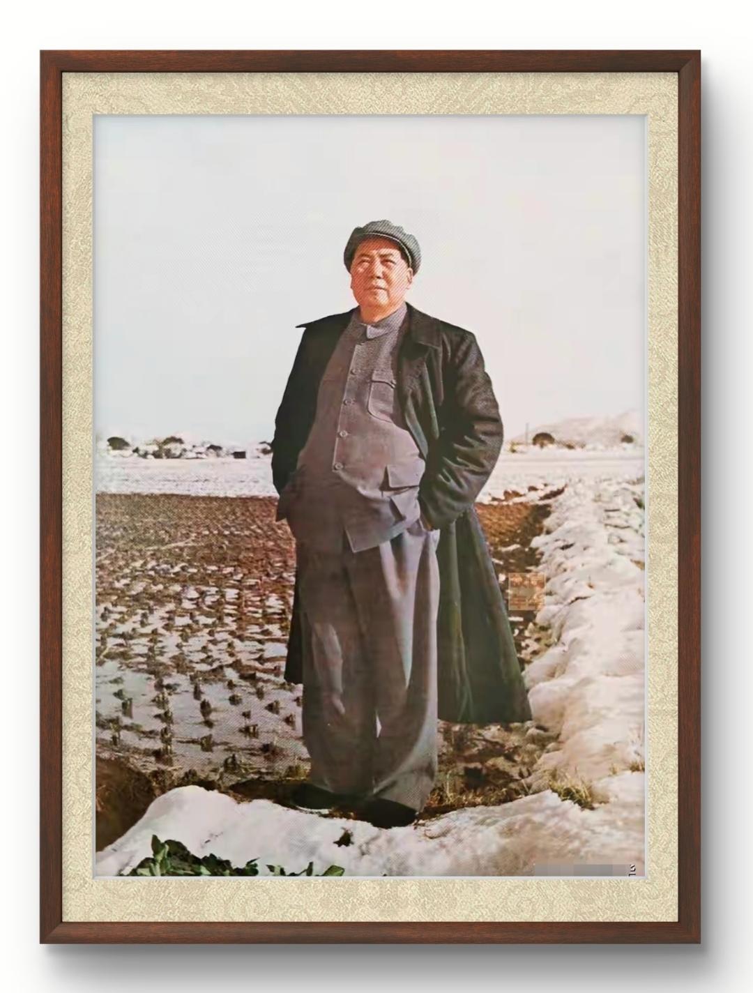 这张照片拍摄于1954年1月的杭州西湖，是毛泽东在杭州起草新中国第一部《宪法》期