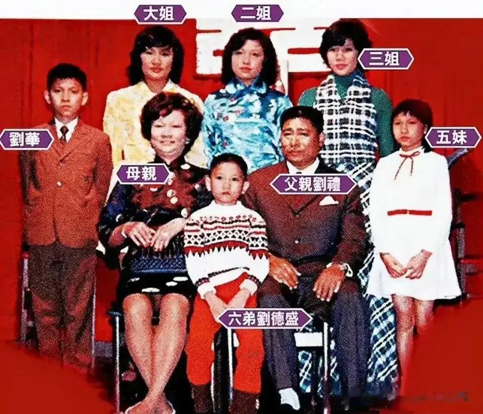 刘德华有6个兄弟姐妹，他排第四，成名后刘德华对待父母和兄弟姐妹都特别好，在他的提