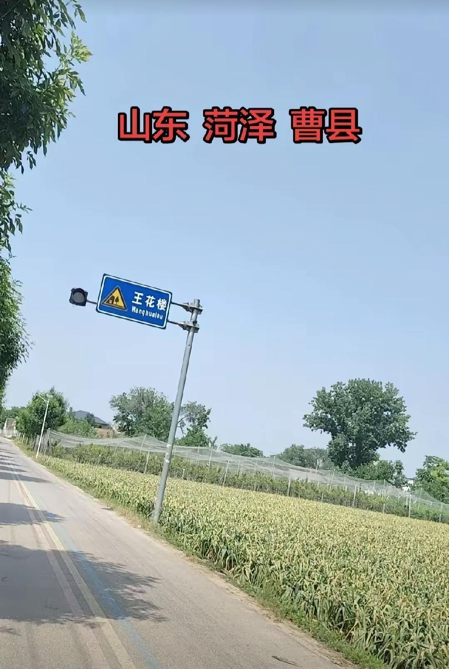 曹县侯集回族镇王花楼村
王花楼位于侯集回族镇政府北1.5千米。明洪武年间，王氏由