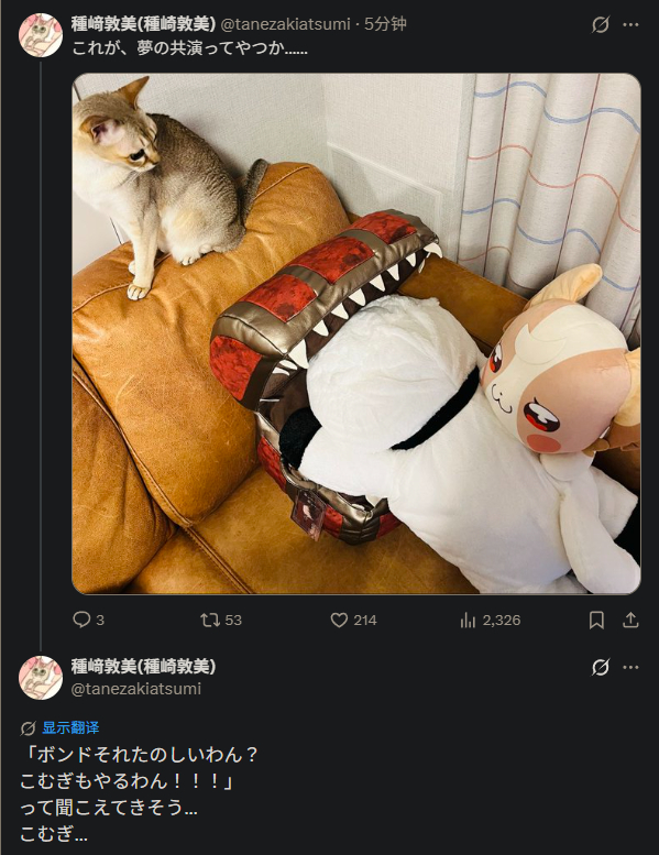 梦 幻 共 演