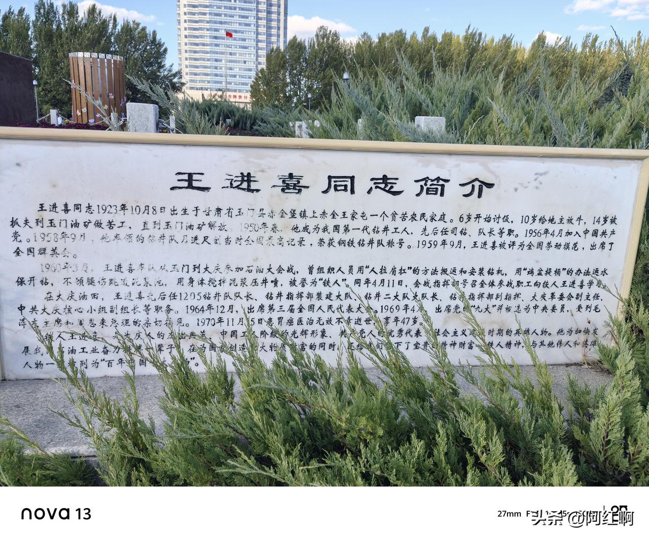 今天特意开车去大庆铁人广场看菊花展了，人挺多，国庆看菊花是挺好的，蓝天白云菊花，