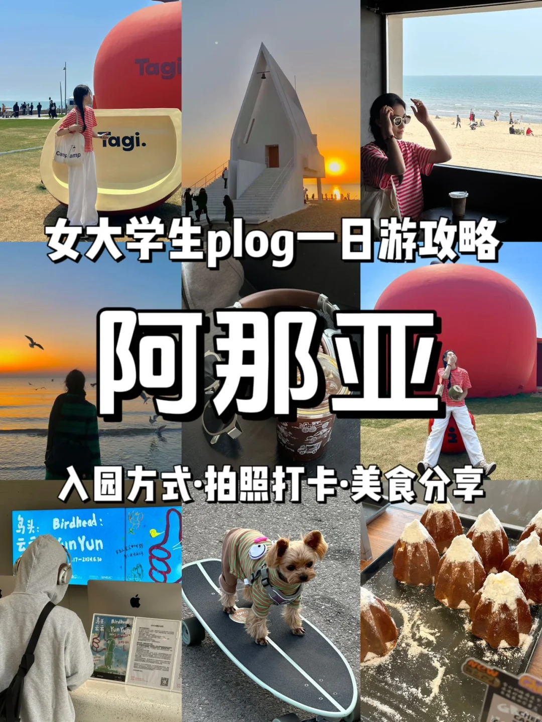 《阿那亚旅游攻略》逛不完根本逛不完！