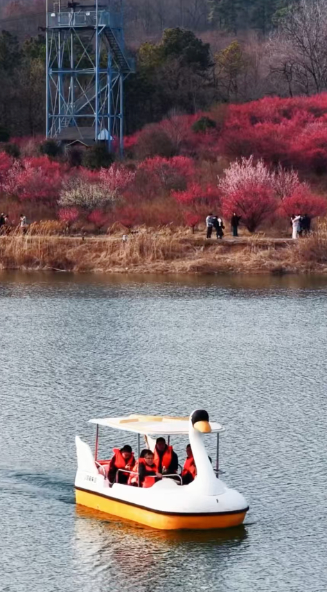 【#全国多个景区官宣免门票#】好消息，近日，多处知名景点官宣免费！江西庐山风景区