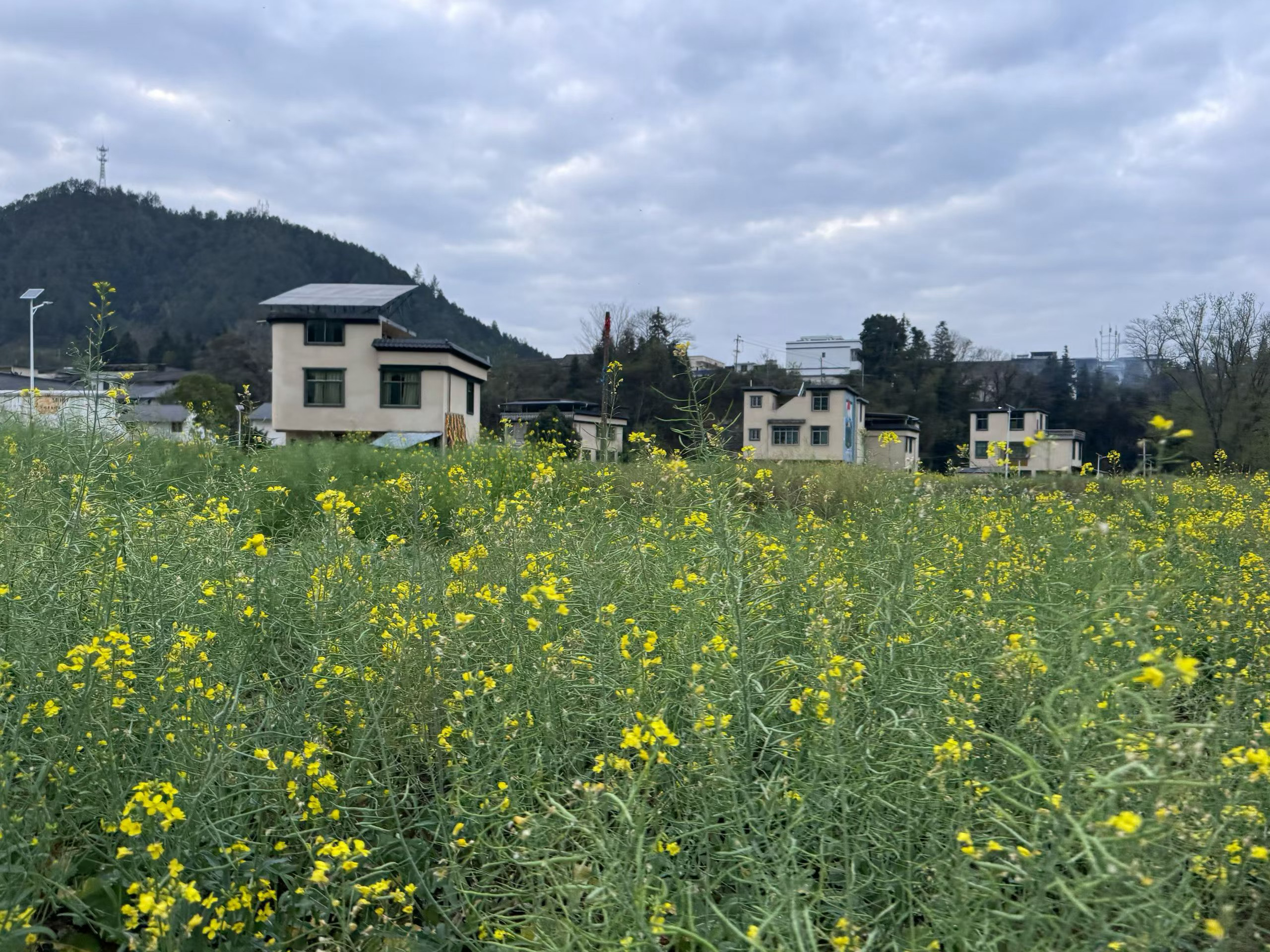 这三种人能离多远就离多远第一个没有教养的人，第二种满嘴歪理的人，第三种谎话连篇的