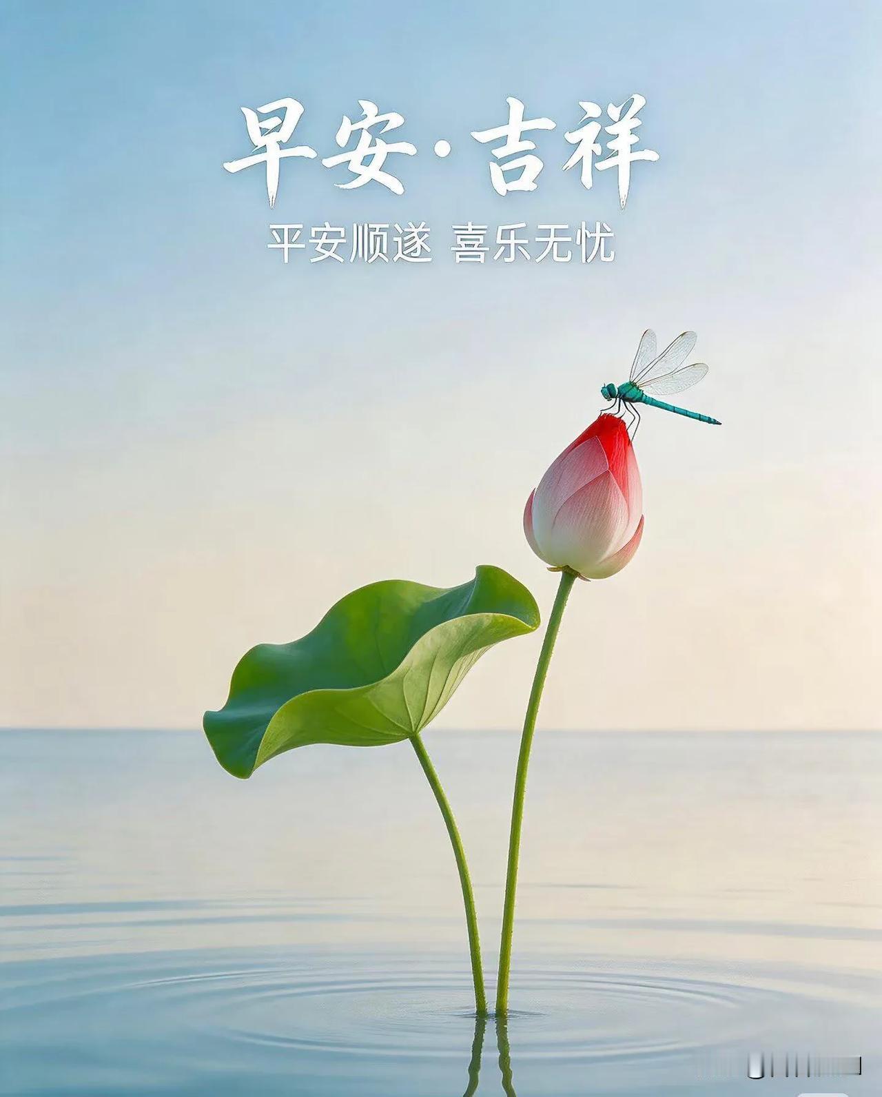  新晨如约而至，不求万般如意，但求身心安康，日日舒心。