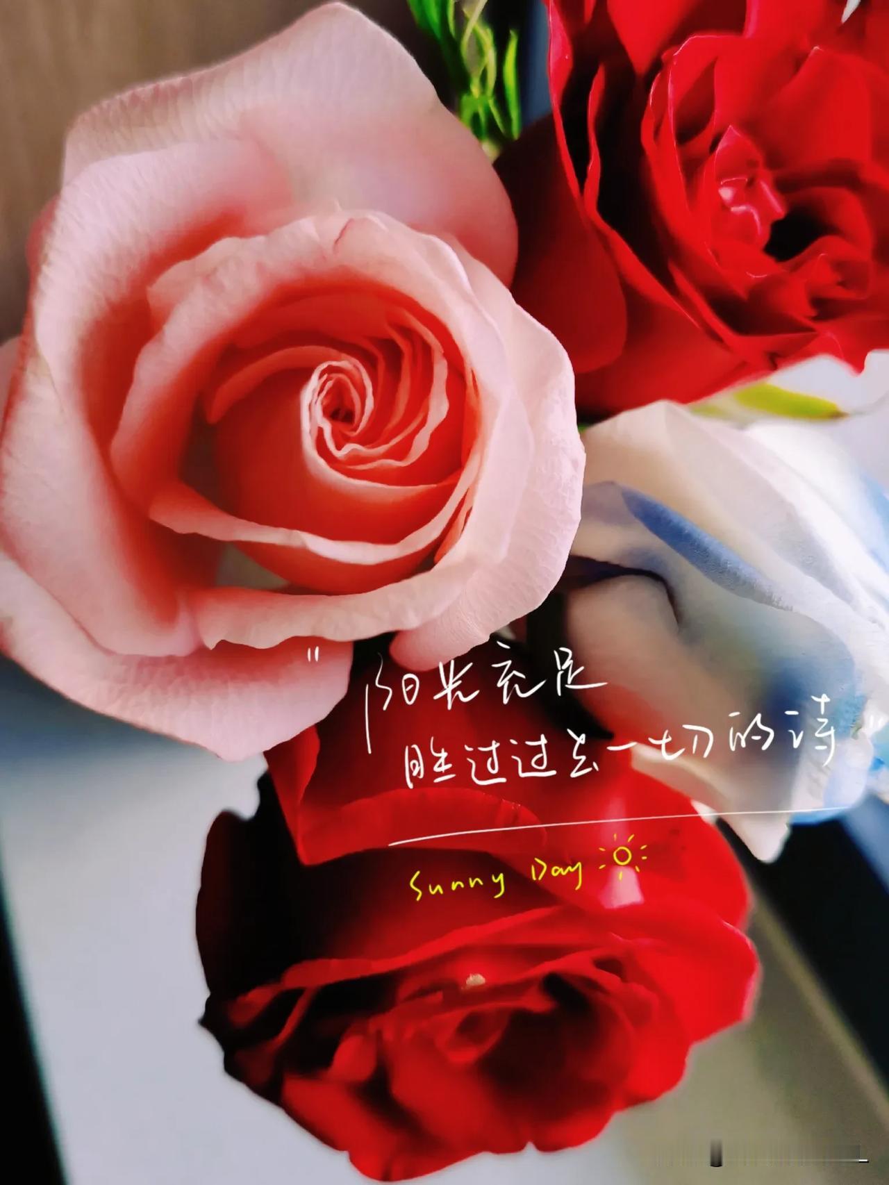 一一【原创摄影】
#中国摄影圈#