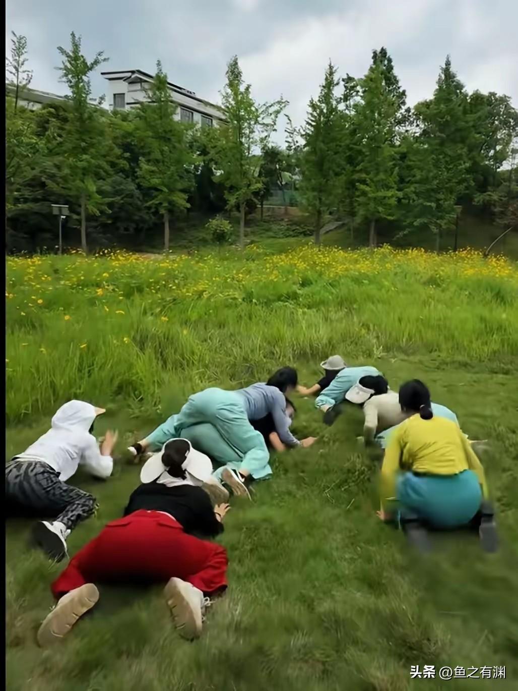 她们这是做啥子呢？也不像小孩子，好像一群大妈，各种各样折腾花草，感觉有点怪怪的，