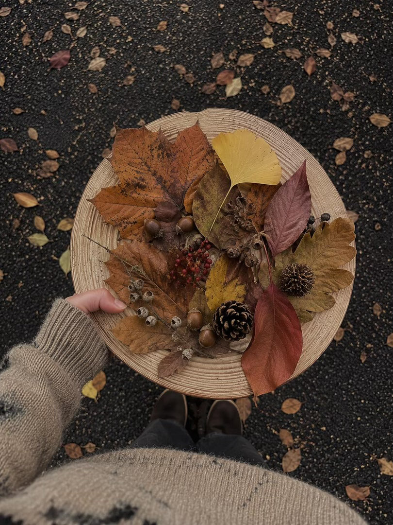 又到了捡秋的季节 ​​​