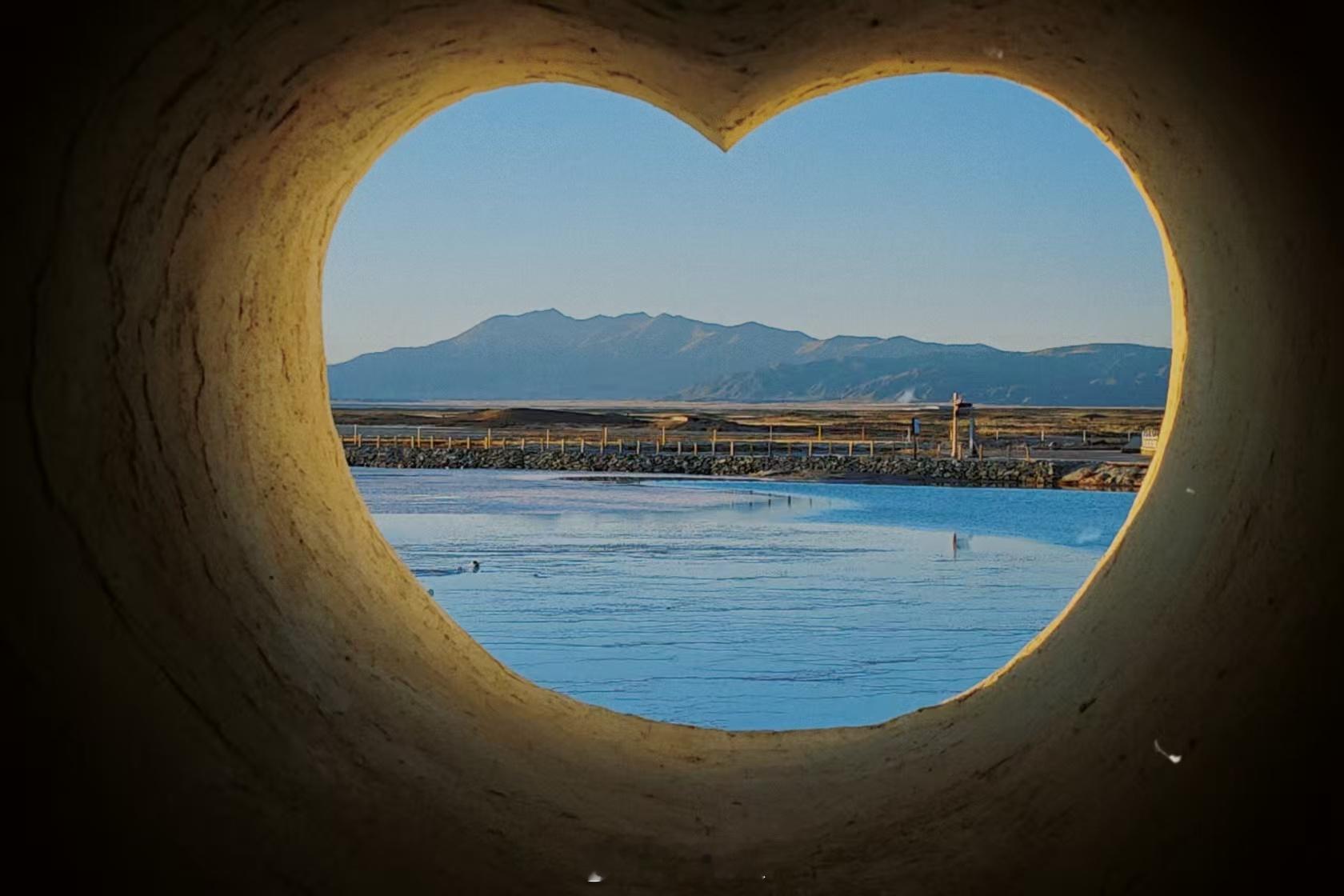 看完生命树想去青海了电视剧生命树《生命树》太治愈人心，没有刻意宣传，却让人深深爱