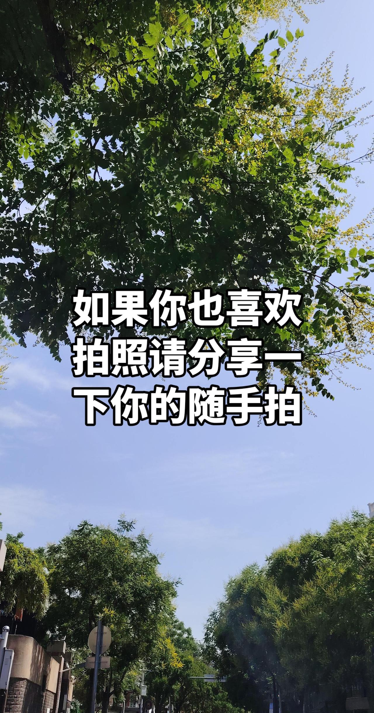 抖音音乐种草计划 创作者中心 创作灵感 城市风光随手拍