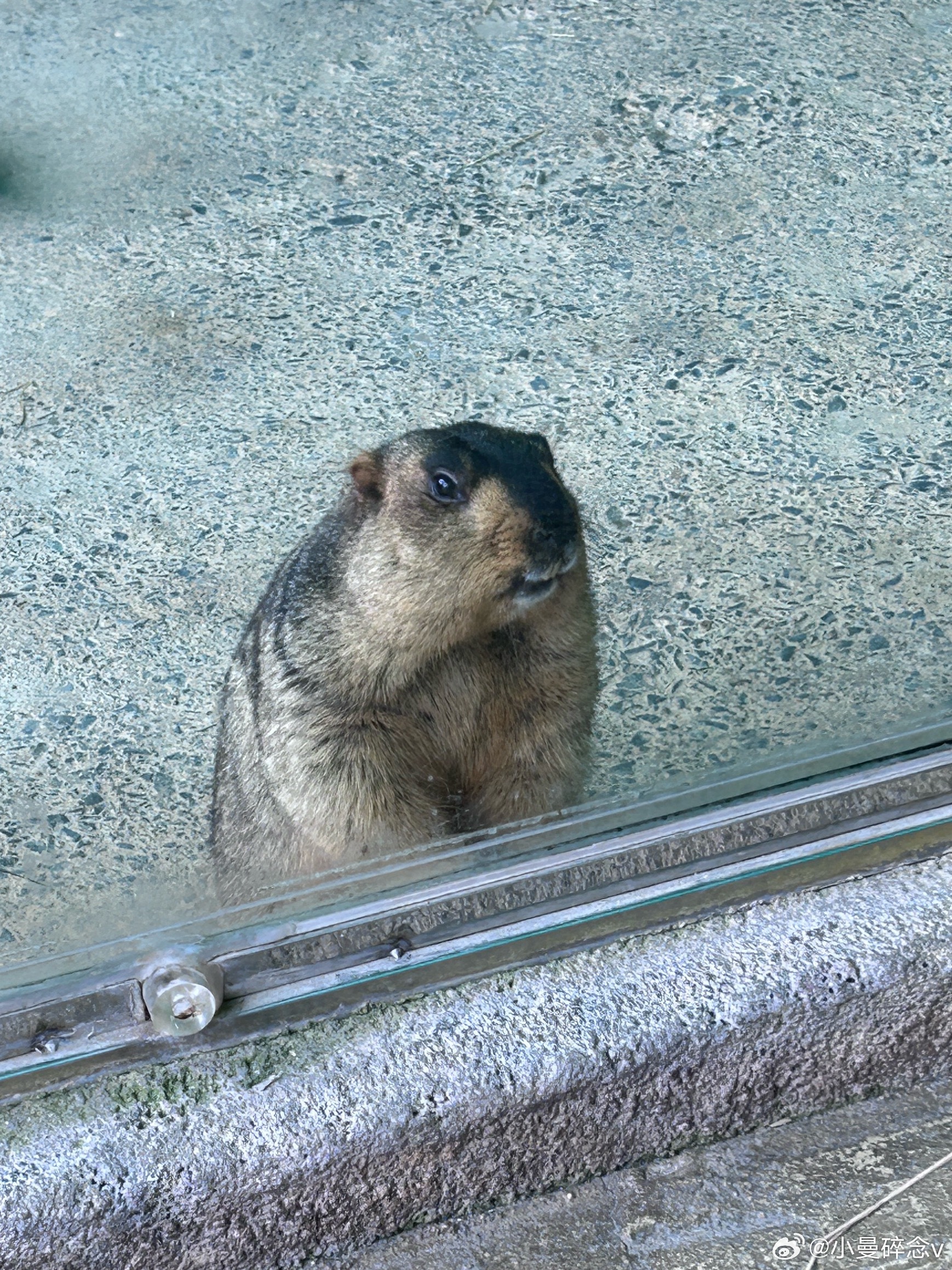 春假才过完江苏秋假时间就定了时间过的真快，我家哥哥的春假马上也要来了，连着五一有