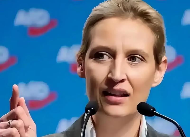 欧洲政坛大地震！德国选择党党首魏德尔曾放出重磅竞选宣言：“在我上任的前 100 