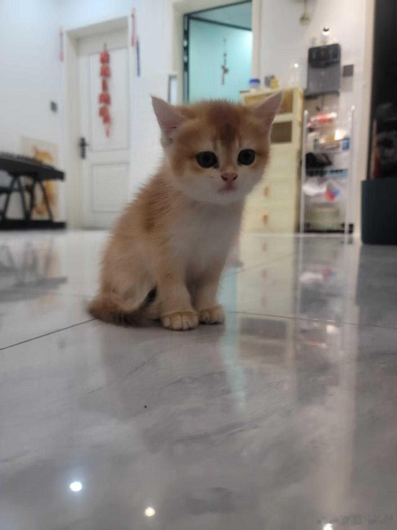 好难过的表情 