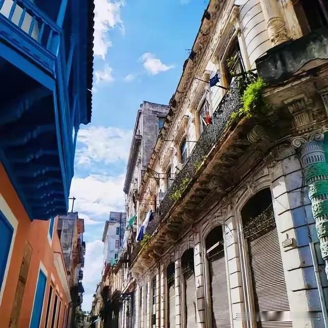 古巴人饿了，就有人给粮食，我不理解，没有战争，没有内乱，也不是鸟不拉屎的地方，土