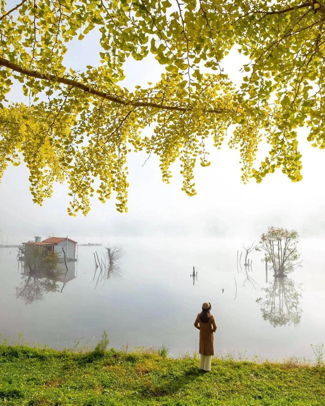 当一个人不尊重你时，不要沟通，不要愤怒，这样做就够了

被人不尊重时，沉默是最高