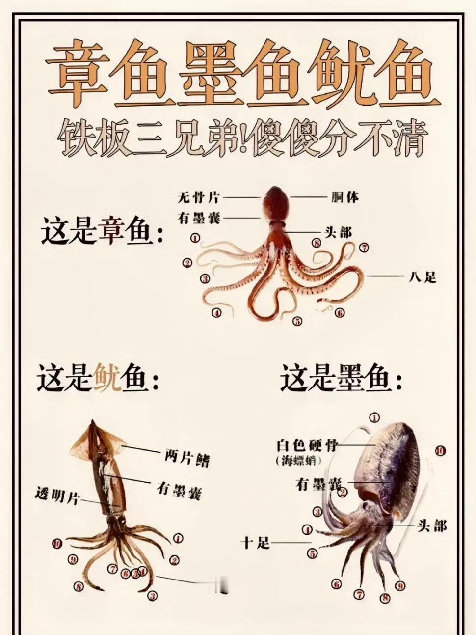 分不清，根本分不清。 