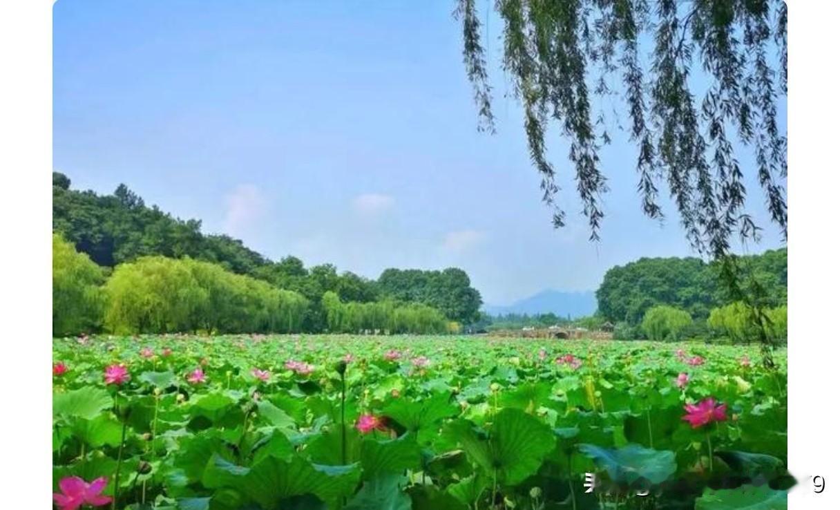 还有哪些描写西湖的诗句呢?描写西湖的诗实在太多了！写得最多的是中唐白居易，最著名