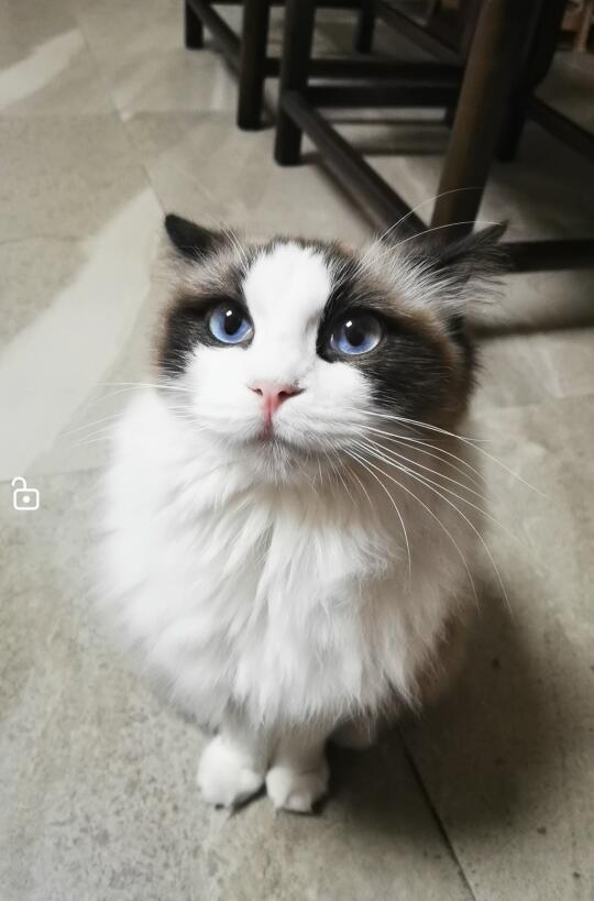 想说啥？