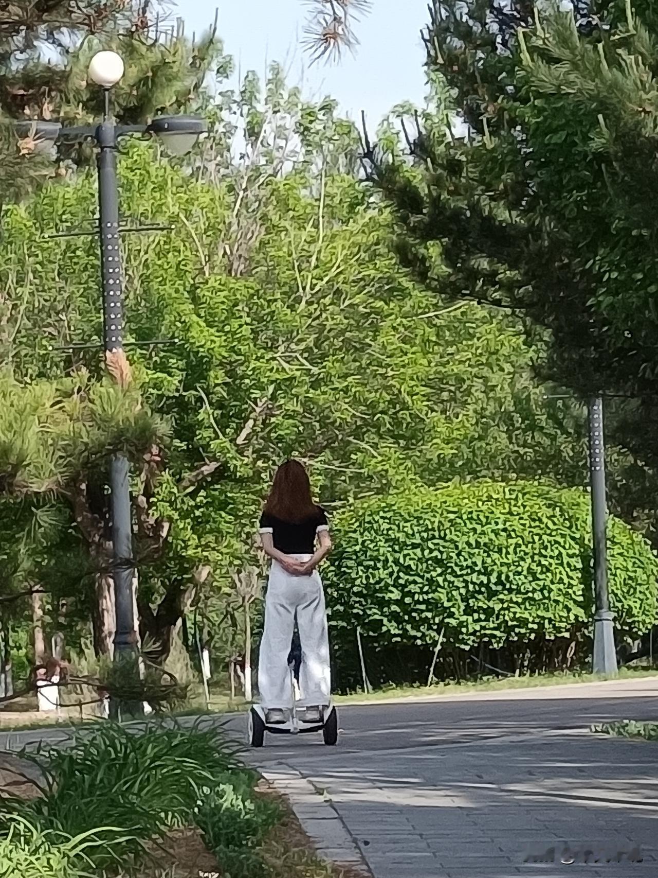 脚踏电动轮，迎面风呼地一下扑进怀里。远远的，孩子们正弓着腰挖沙。

轮子嵌进干沙