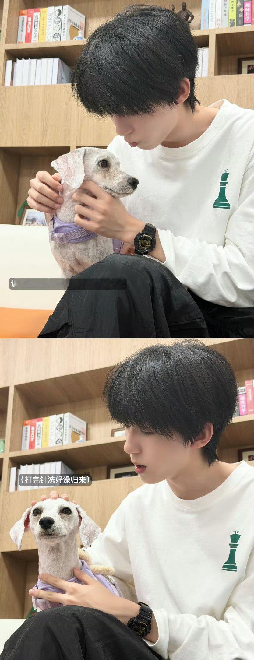 就是一群善良的小孩子啊，流浪小狗误闯就收养认认真真照顾着，小笨狗以后也有靠山咯?