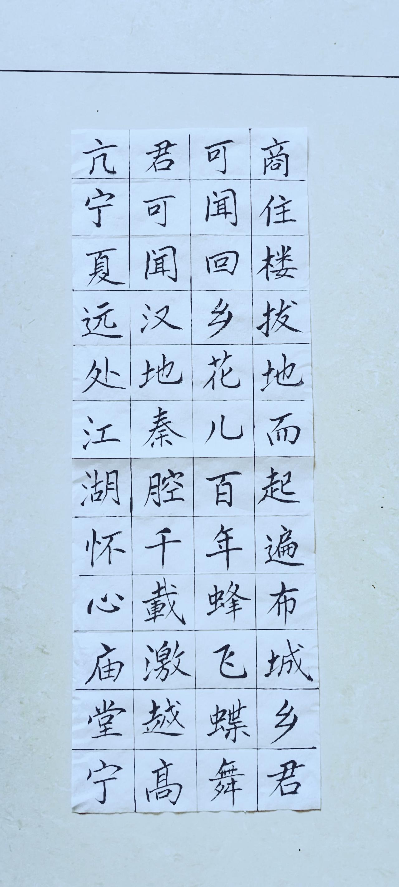 第九十五天《宁夏赋》（18）正楷毛笔练习